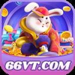 66vt Brasil Premium v2.7.8